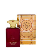 ادوپرفیوم مردانه برندینی Brandini مدل Journey حجم 33 میلی لیتر