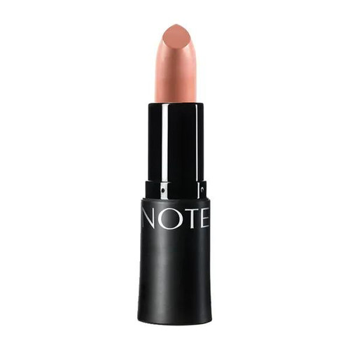 رژ لب جامد آبرسان نوت Note مدل Mattemoist شماره 309